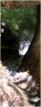 image de canyon