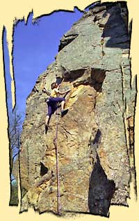 L'Auvergnat (Roiffieux)