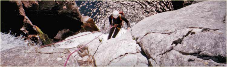 image aléatoire