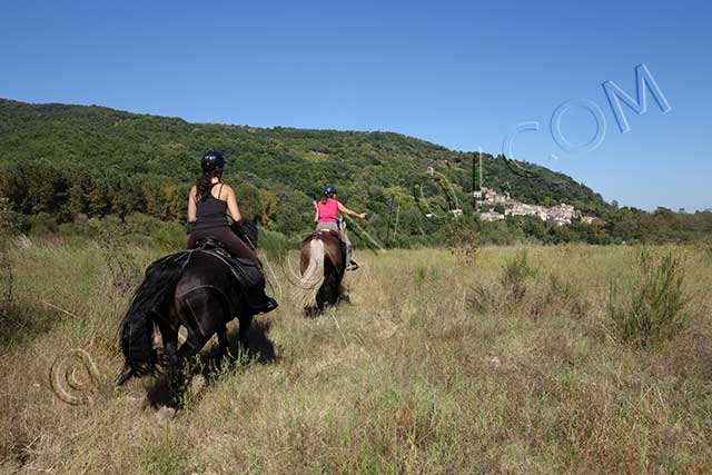 rando equestre en Rhône Alpes : randonnee equestre beauchastel