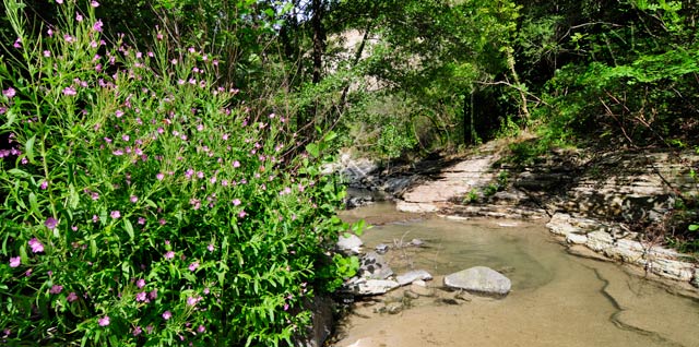 canyoning en ardèche : ruisseau bourdaric