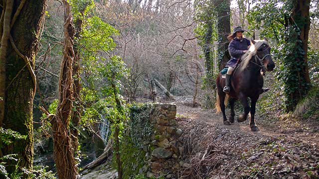 randonnée equestre en ardèche : randonnee equestre chenavary