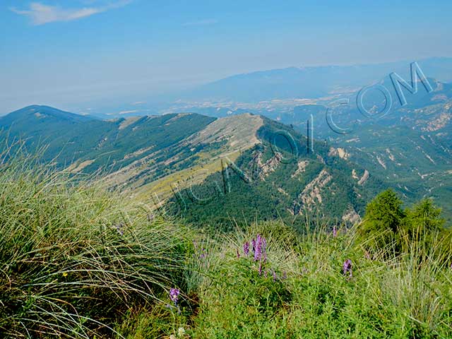vtt en Alpes-de-Haute-Provence : Saint-Geniez Sommet de Vaumuse