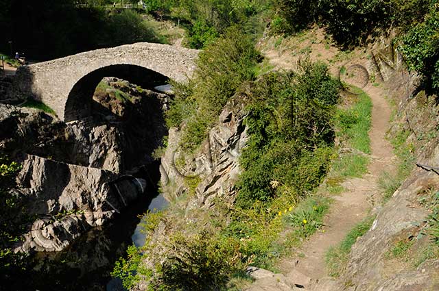 vtt en Ardèche : Crêtes du Tanargue